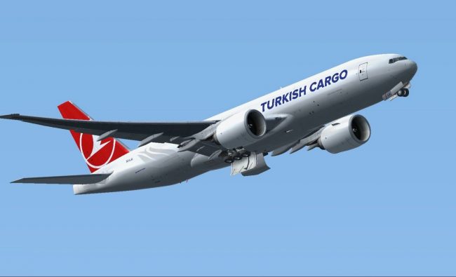 Turkish Cargo ile balıkların New York keyfi