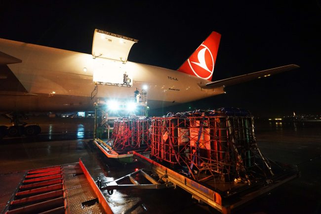 Turkish Cargo‘nun misafirleri 1,5 milyon canlı balıktı (VİDEOLU)