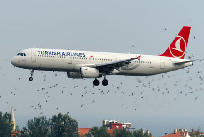 İstanbul semalarında leylek alarmı