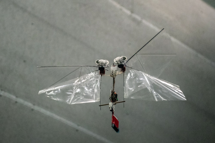 Böceklerin hareketlerini taklit eden 29 gramlık drone