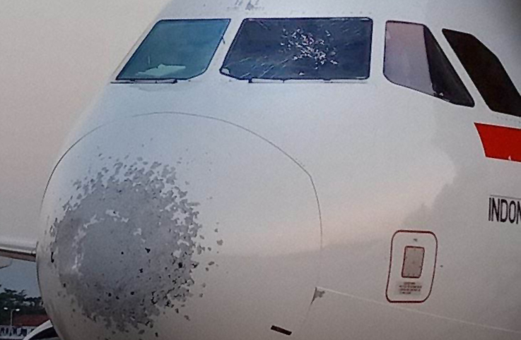 Indonesia Air Asia uçağı inişte doluya yakalandı