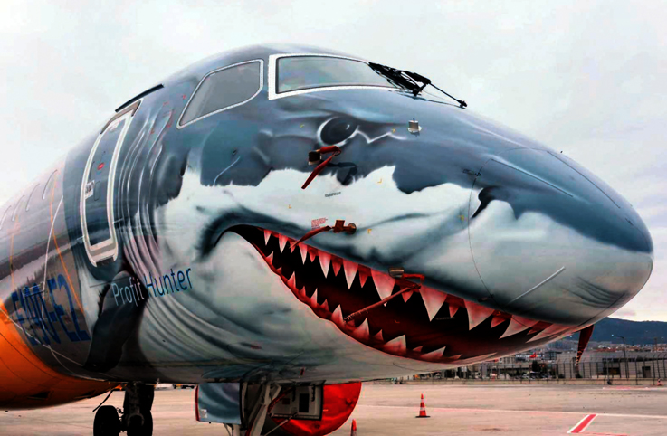 Köpekbalığı Sabiha Gökçen Havalimanı’na indi