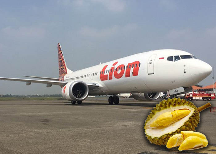 Lion uçağına meyve rotarı
