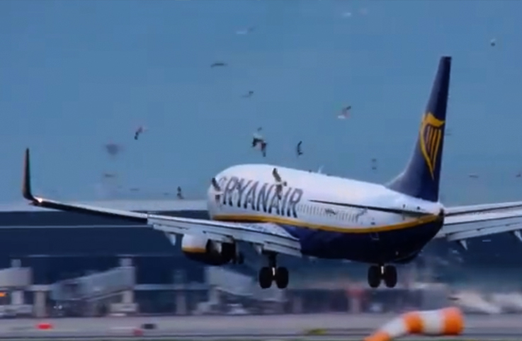 Ryanair Barcelona inişinde tehlike atlattı