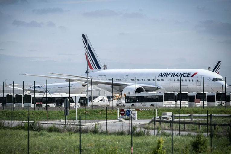 Air France’dan fidan bağışı projesi ‘Trip and Tree’