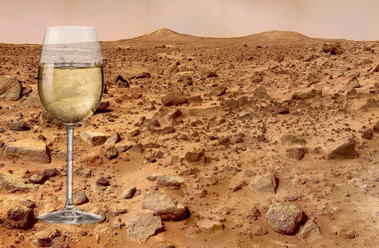 Gürcistan Mars’ta şarap üretmeyi hedefliyor