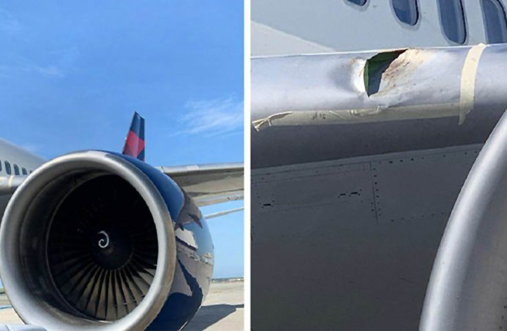 Delta uçağı JFK’ye inişte kuşa çarptı