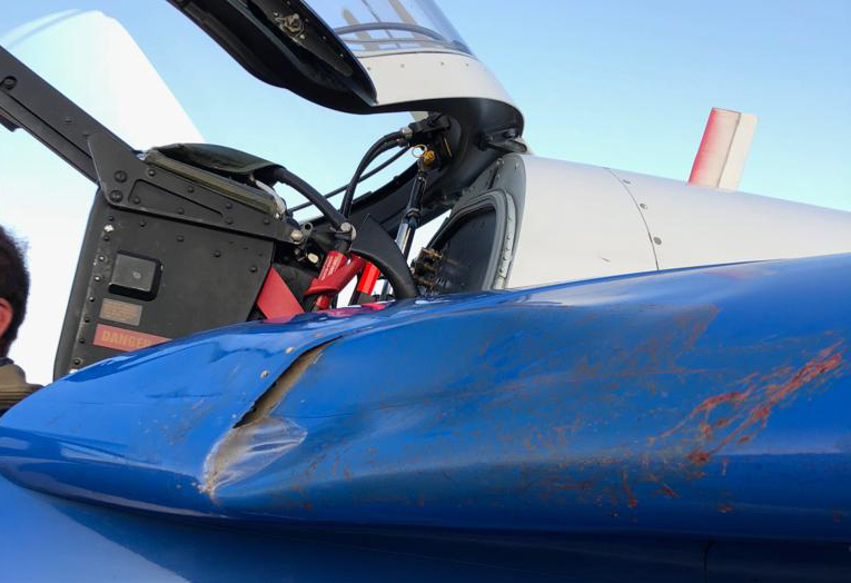 Fransız akrobasi uçağına kuş çarptı