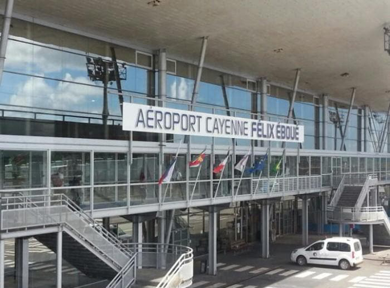 Cayenne Havalimanı’nda 100 adet Trantula ele geçirildi