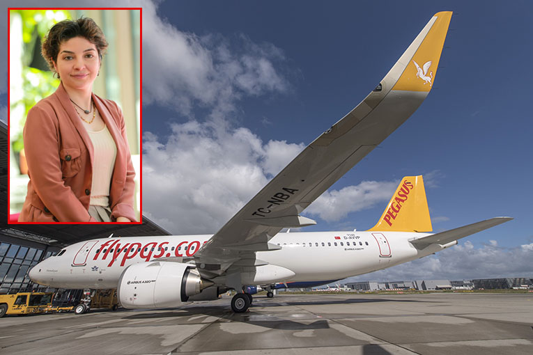 Pegasus’a iki ödül