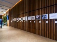 İstanbul Bienali’nin 30. Yıl Özel Projesi, IST’de sergileniyor