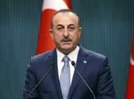 Avrupa’dan 3 bin 614 kişi Türkiye’ye dönüyor