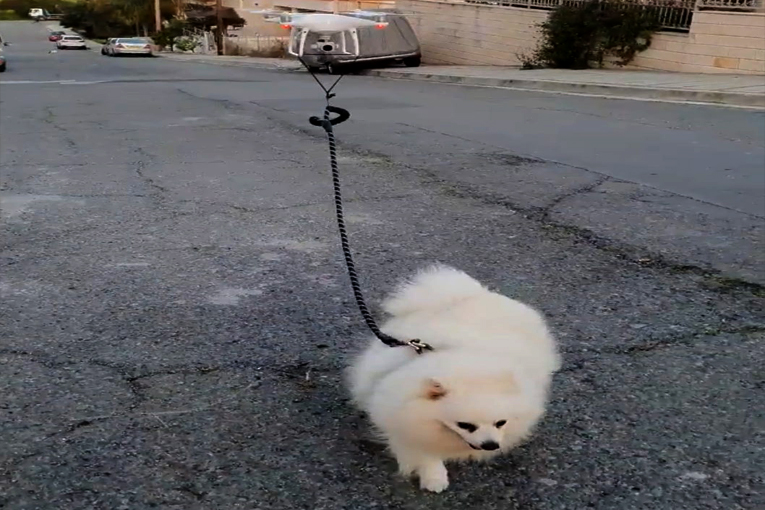 Kendi karantinada, köpeği drone ile gezmede