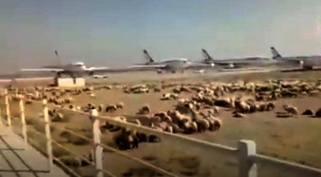 Tahran Mehrabad Havalimanı’nı koyunlar bastı