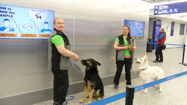 Köpeklerin virüslü yolcularını tespit edebilirler mi tartışması