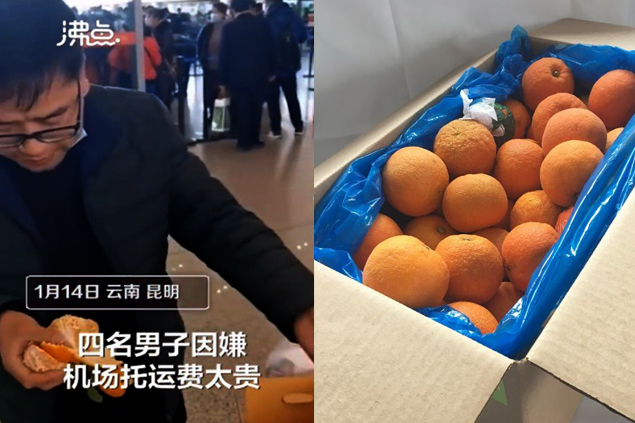 Bagaj ücreti ödememek için 30 kilo portakalı yediler