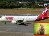 LATAM havayolu uçağı kalkışta Kapibara’ya çarptı