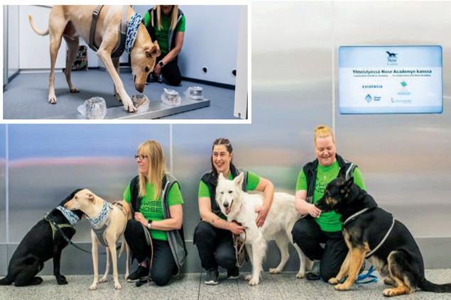 İsviçre’de covid-19 testlerinde köpekleri kullanacak