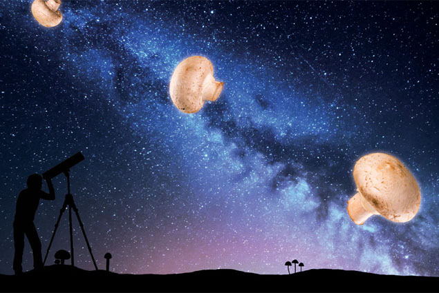 NASA, uzaya mantar göndermeye hazırlanıyor