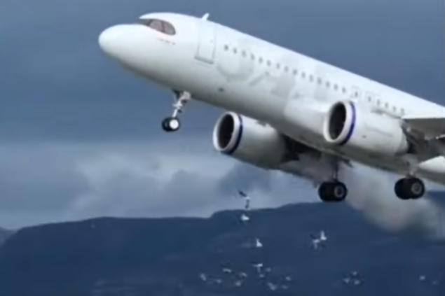 SAS uçağının motoruna inişte kuş girdi