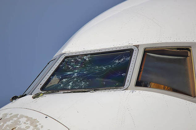 Emirates uçağına Milano’da kuş sürüsü çarptı