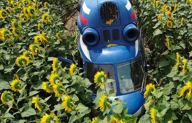 Rusya’da Mi-2 ayçiçeği tarlasına indi