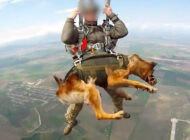 Rus paraşütçüler köpeklerle uçaktan atladı