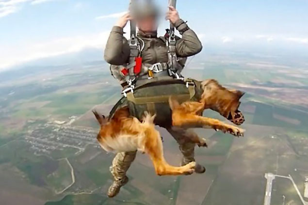 Rus paraşütçüler köpeklerle uçaktan atladı