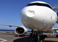 Lufthansa’nın A321neo’su inişte kuşa çarptı