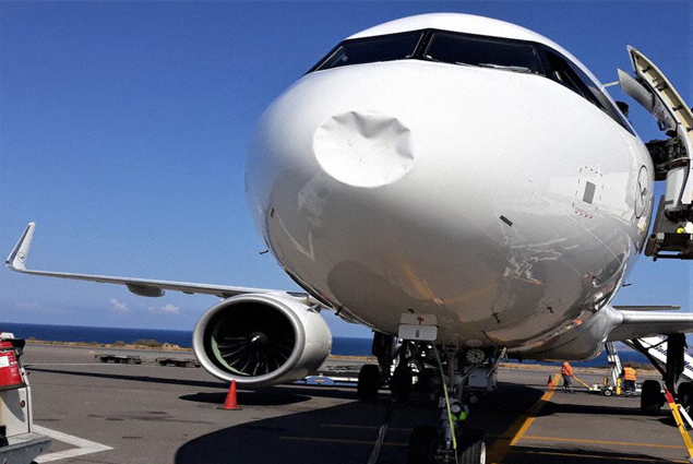 Lufthansa’nın A321neo’su inişte kuşa çarptı