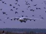 AN-225 Mriya 20 günde 3 ticari uçuş yaptı