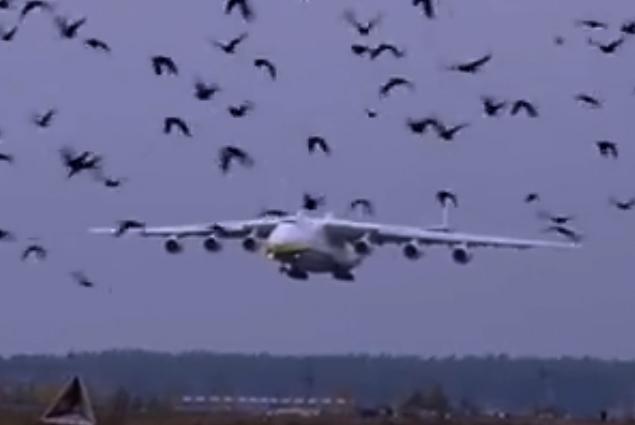 AN-225 Mriya 20 günde 3 ticari uçuş yaptı
