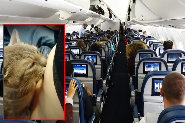 Delta uçağında yok artık dedirtecek olay