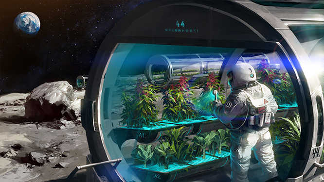 NASA, Ay’da nasıl tarım yapılacağını araştırıyor