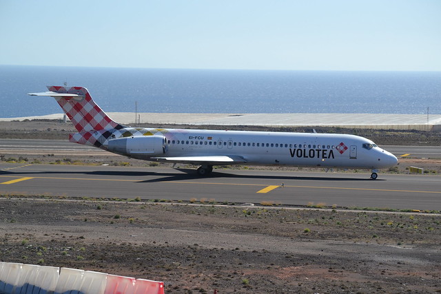 Volotea Havayolu uçağının kalkışına kuş engeli