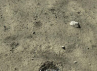 Çin, Ay’da su kalıntıları bulduğunu açıkladı