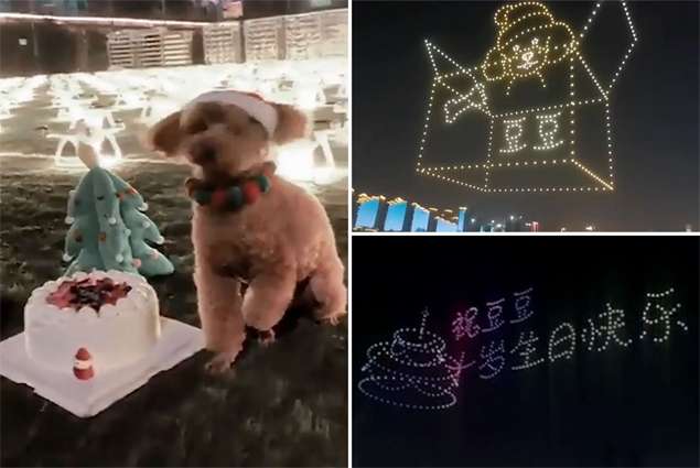 Köpeğinin doğum gününde 520 drone kiraladı