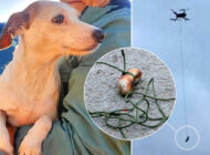 Mahsur kalan köpeği sosisli drone ile kurtardılar