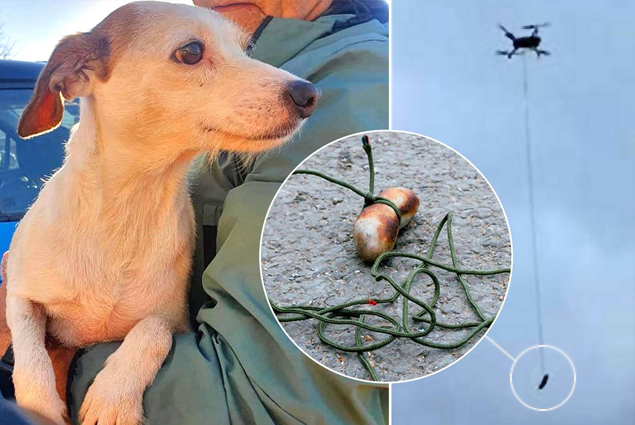Mahsur kalan köpeği sosisli drone ile kurtardılar