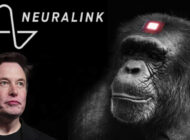 Neuralink’in beyin çipi deneylerinde 8 maymun öldü