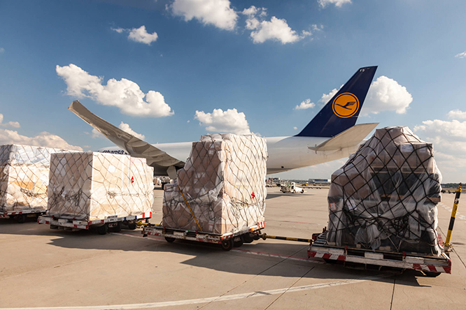 Lufthansa, A321P2F uçağı ile kargo taşımaya başladı