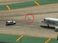 San Diego Havalimanı’nda Pelikan uçağının önünü kesti