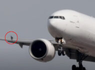 Atlas Air uçağının motoruna inişte kuş girdi