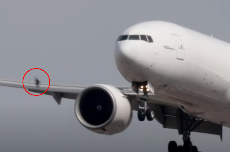 Atlas Air uçağının motoruna inişte kuş girdi