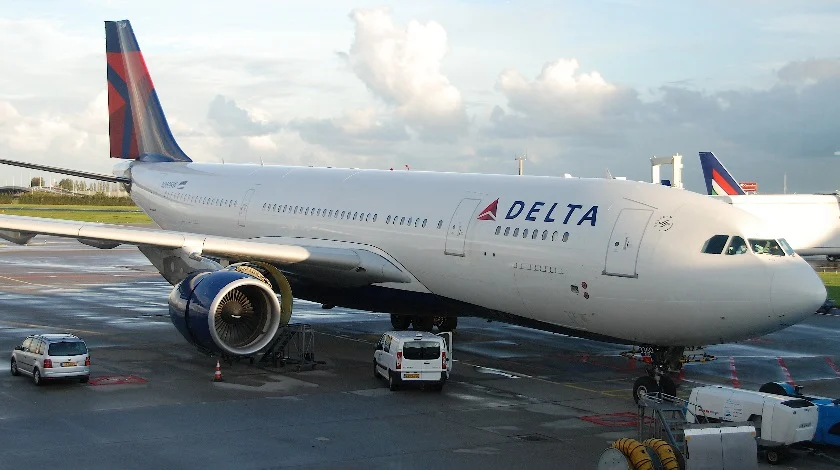 Delta uçağının takside motoruna kuş girdi