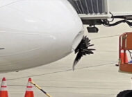 Allegiant havayolunun uçağına kuş çarptı