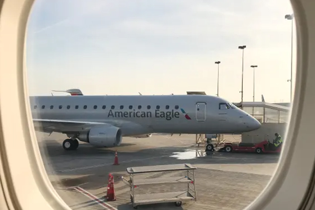 AA pilotu uçuşta hayatını kaybetti
