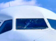 Berniq Airways’in A320 uçağını kuşlar geri döndürdü