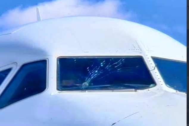 Berniq Airways’in A320 uçağını kuşlar geri döndürdü