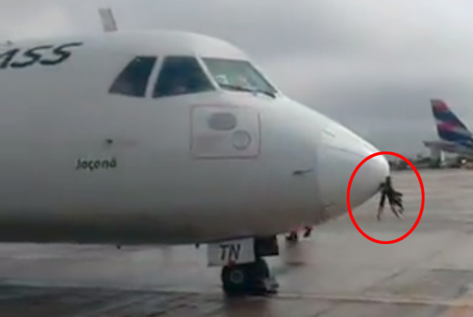 ATR-72 Brezilya’da inişte kuşa çarptı